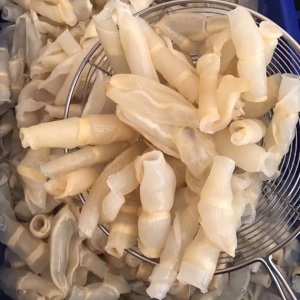 大号红鱼肚250g/袋